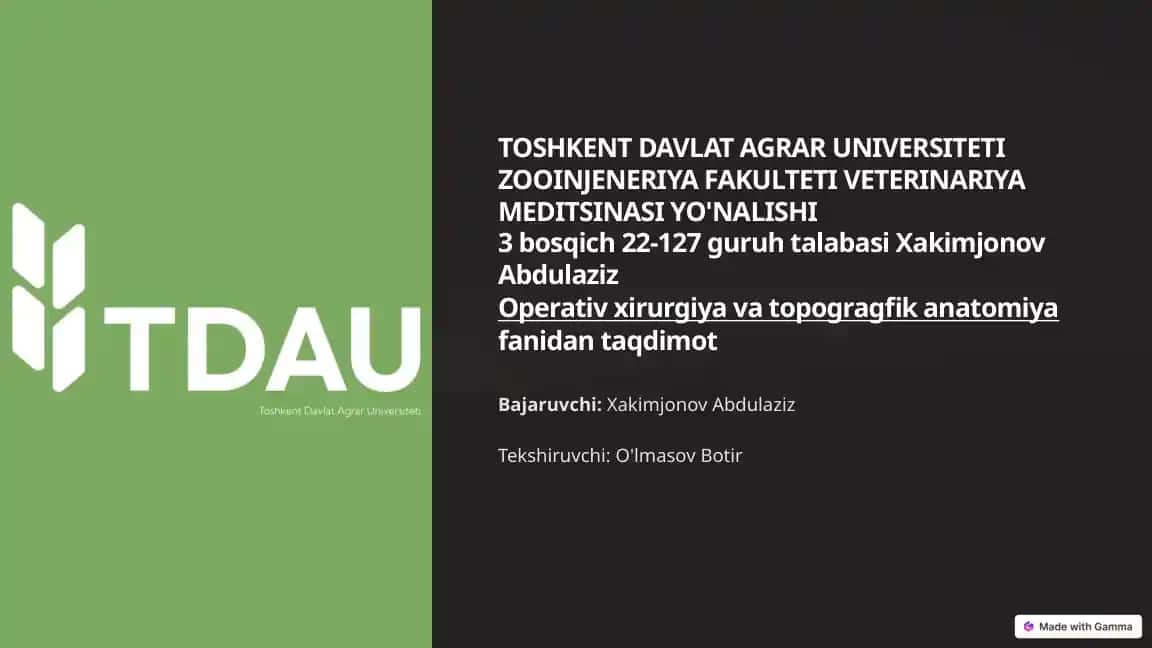 Termokauterizasiya - hayvonlarda kuydirish