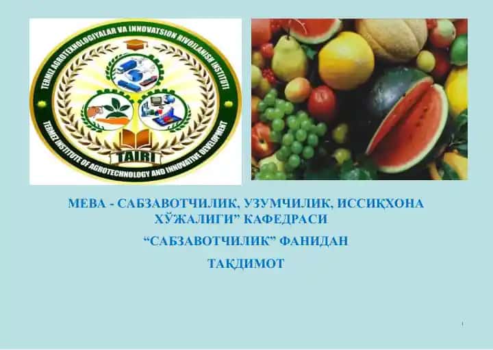 Тўқсонбости муддатда сабзавотларни етиштириш хусусиятлари