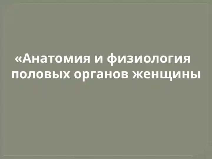 Анатомия и физиология половых органов женщины