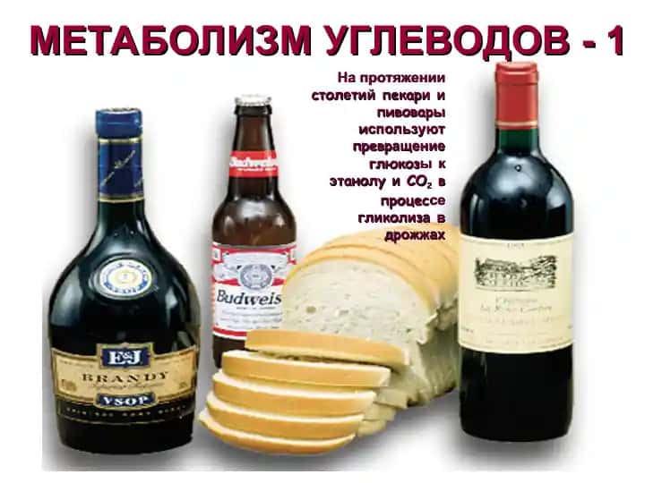 Metabolizm uglevodov