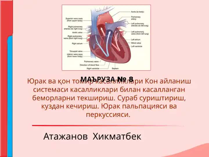 Yurak va qon tomir kasalliklari tekshirish