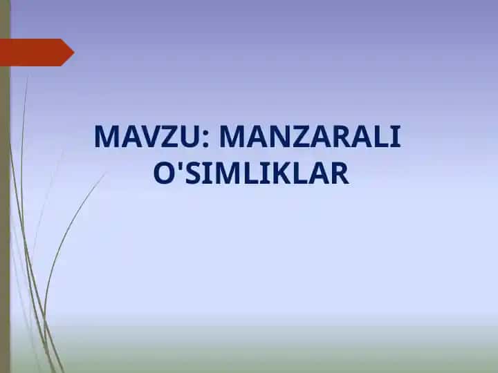Manzarali o'simliklar