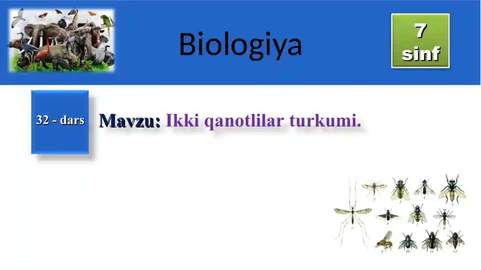 MUSTAHKAMLASH TUSHUNCHALAR TAHLILI