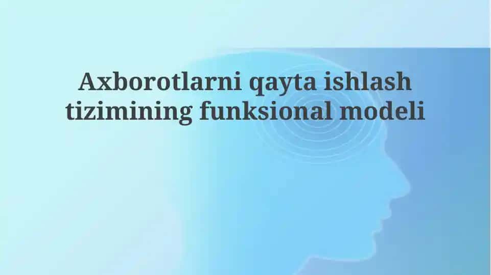Axborotlarni qayta ishlashtirish tizimining funktsional modeli