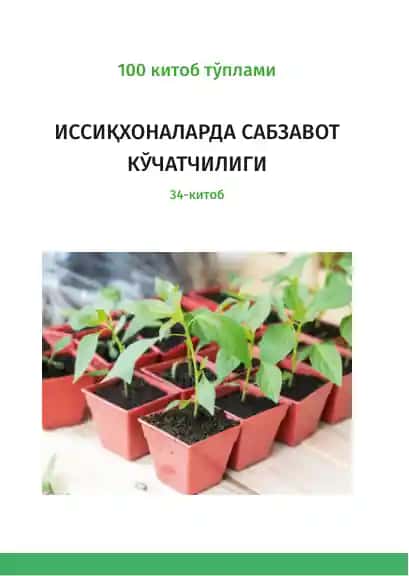 Иссиқхоналарда сабзавот кўчатчилиги