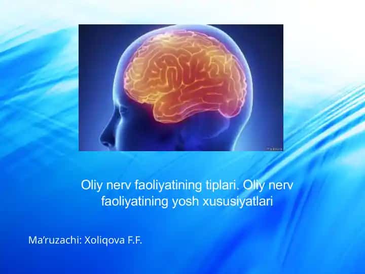 Oliy nerv faoliyatining tiplari. Oliy nerv faoliyatining yosh xususiyatlari