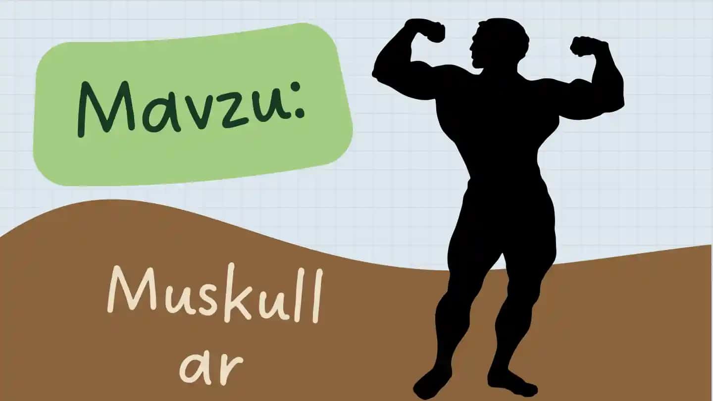 Muskullar haqida umumiy ma'lumot