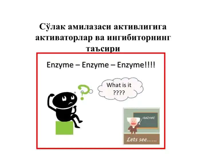 Сўлак амилазаси активлигига активаторлар ва ингибиторнинг таъсири