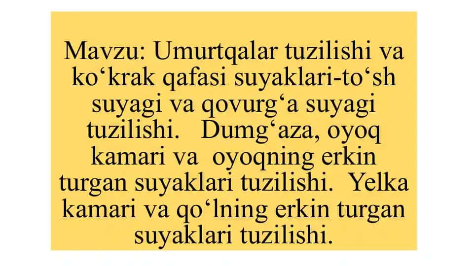 Umurtqa suyagi va qovurg'a suyagi tuzilishi