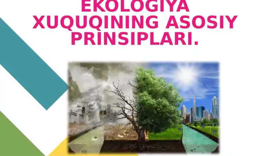 EKOLOGIYA XUQUQINING ASOSIY PRINSIPLARI