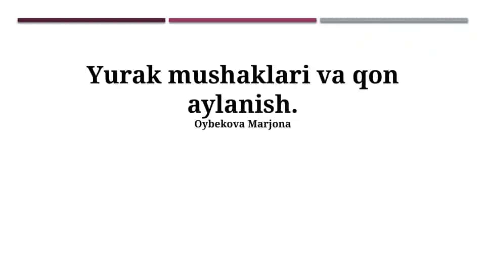 Yurak mushaklari va qon aylanish