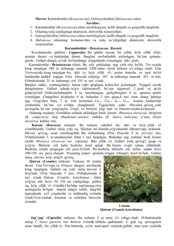Karamdoshlar (Brassicaceae) oilasi