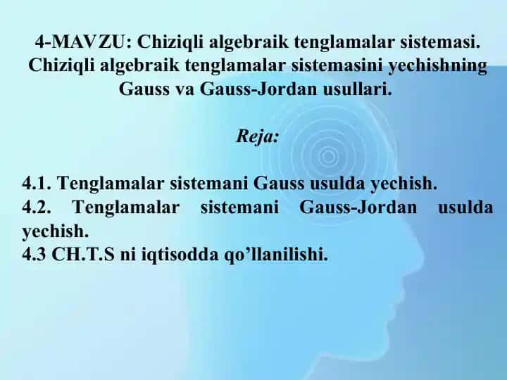 Chiziqli algebraik tenglamalar sistemasi