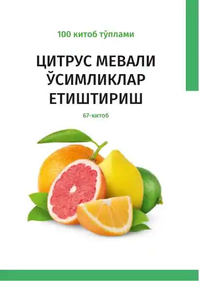 Цитрус мевали ўсимликлар етиштириш