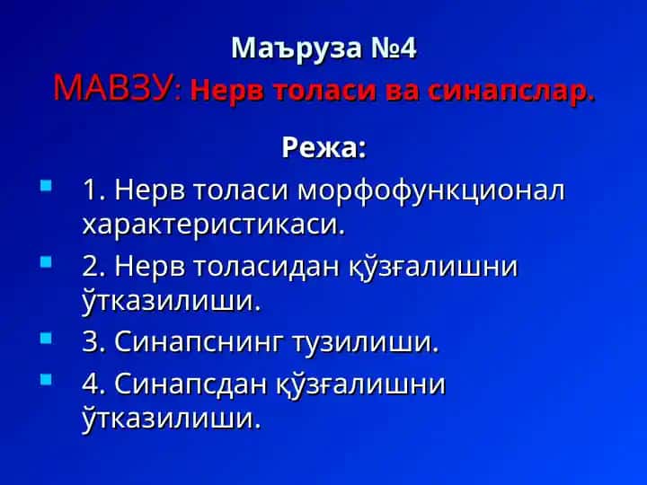 Нерв толаси ва синапслар