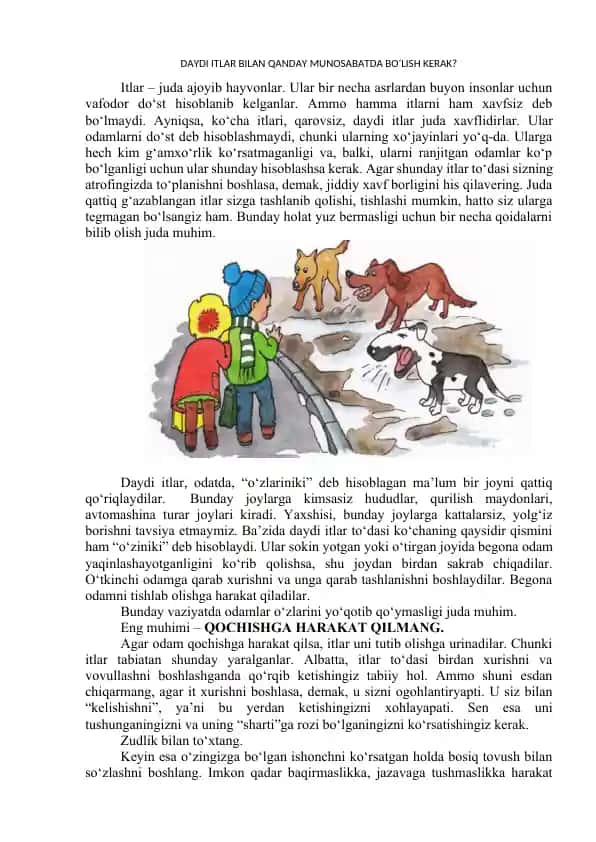 Daydi Itlar bilan qanday munosabatda bo‘lish kerak?