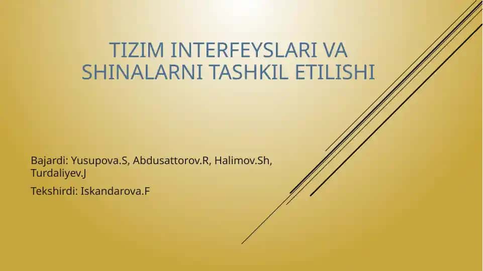 Tizim interfeyslari va shinalarni tashkilotilishi