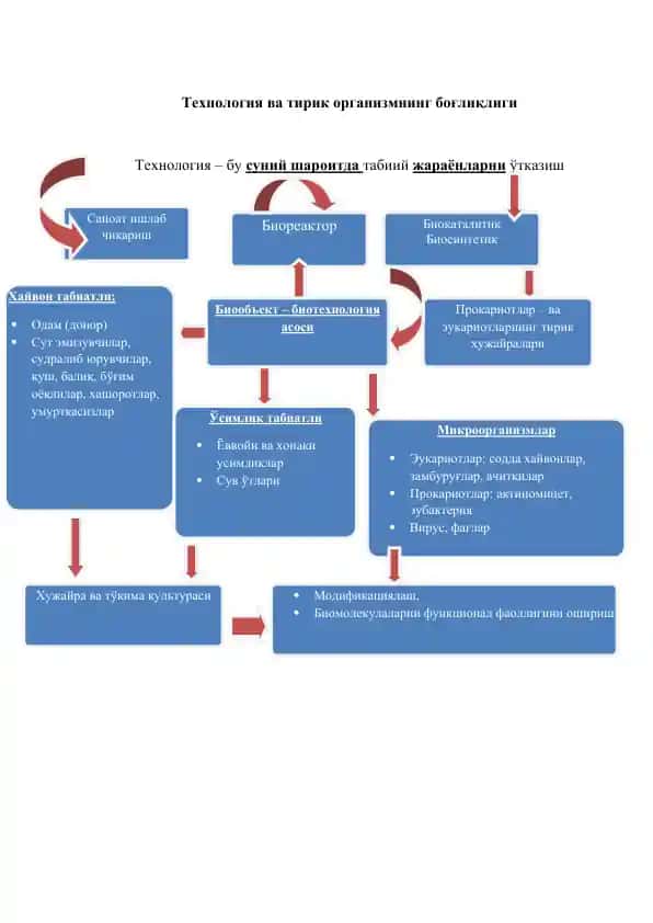 Технология ва тирик организмнинг боғлиқлиги