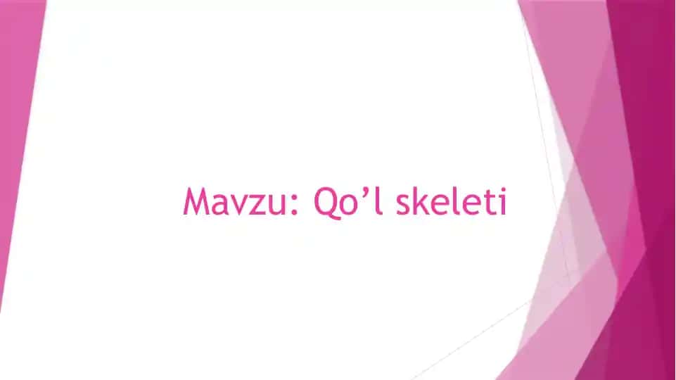 Qo’lskeleti