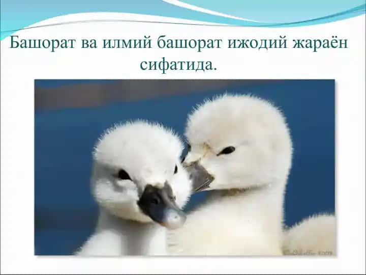 Bashorat va ilmiy bashorat ijodiy jarayon sifatida