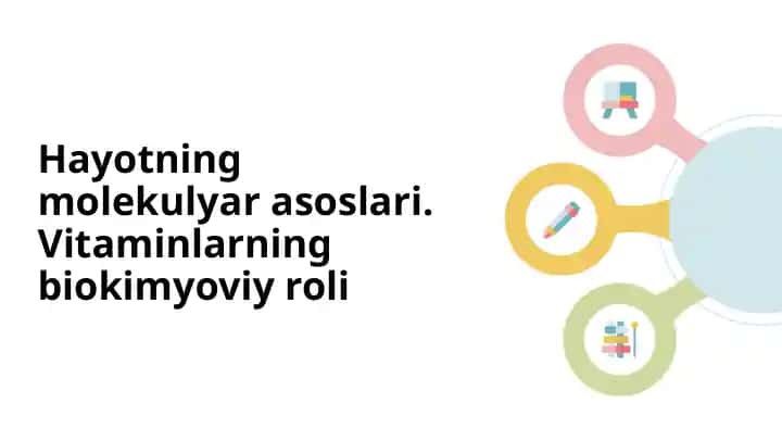 Vitaminlar