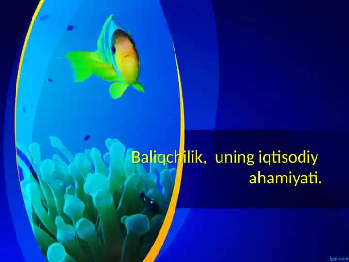 Baliqchilik va uning iqtisodiy ahamiyati