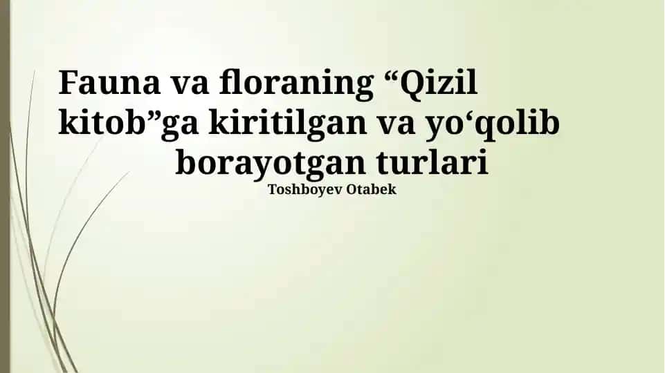 Qizil Kitob