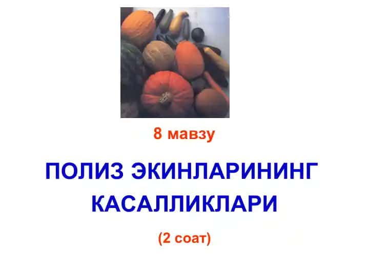ПОЛИЗ ЭКИНЛАРИНИНГ КАСАЛЛИКЛАРИ