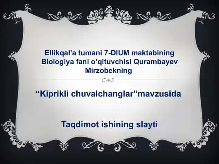 Kiprikli chuvalchanglar taqdimoti