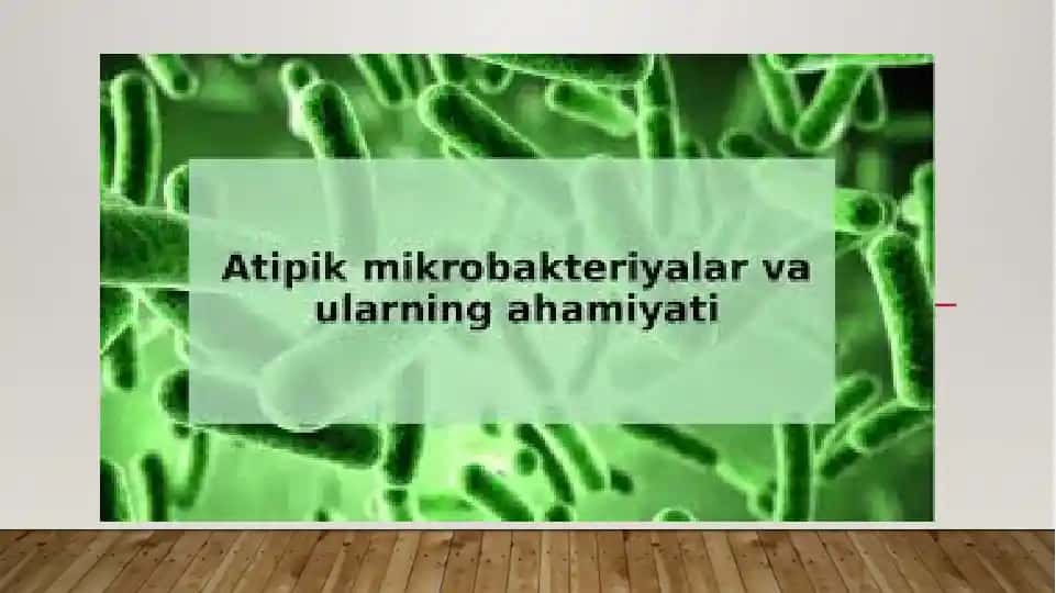 Mikobakteriyalar va ularning ahamiyati