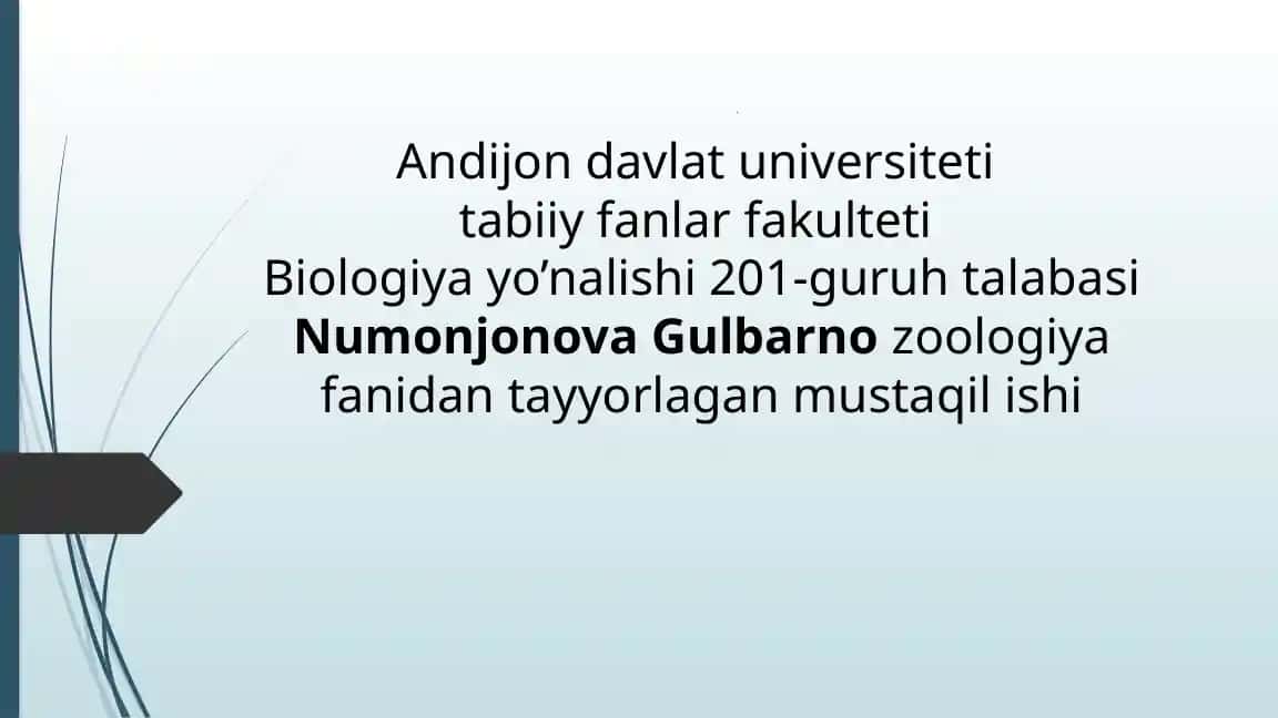 Amfibiyalar Eologiyasi