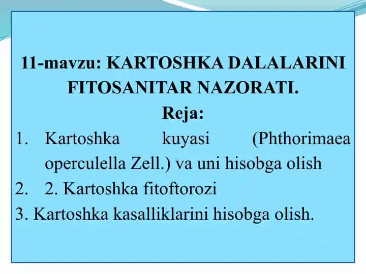 Kartoshka fitosanitari nazorati