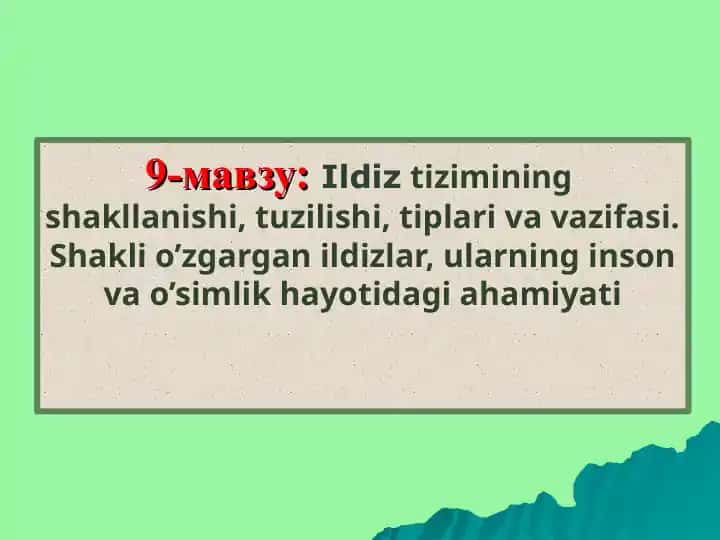 Ildizlar