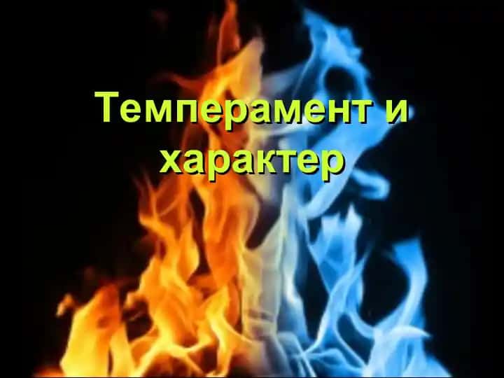 Темперамент и характер