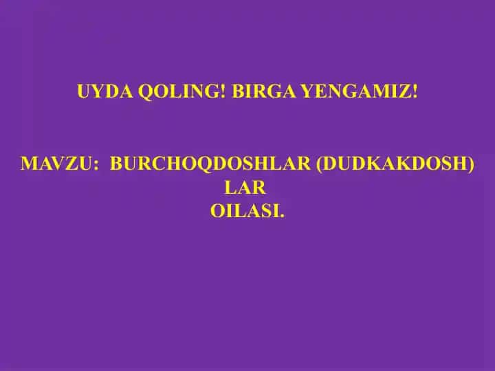 Burchoqdoshlar (dukkakdosh) lar oilasi