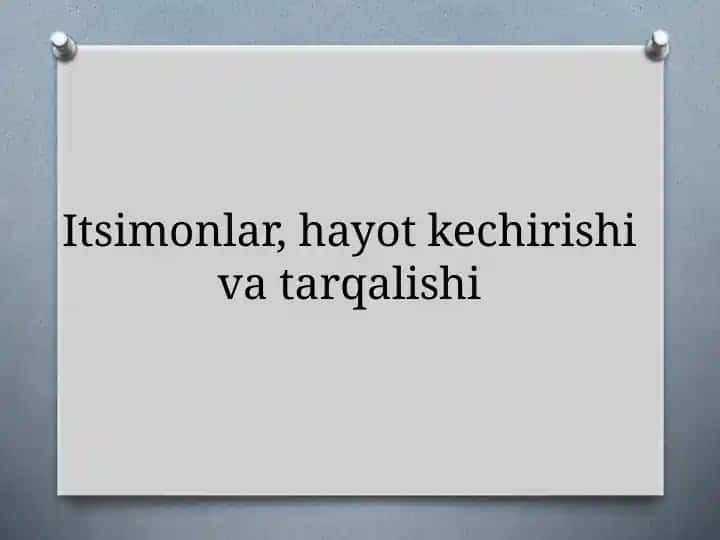 Itsimonlar, hayot kechirishi va tarqalishi