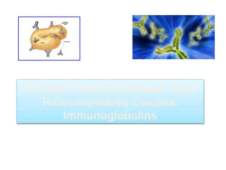 Antigens