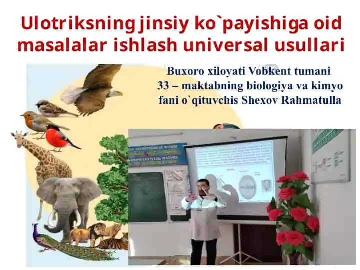 Ulotriksning jinsiy ko`payishiga oid masalalar ishlash universal usullari
