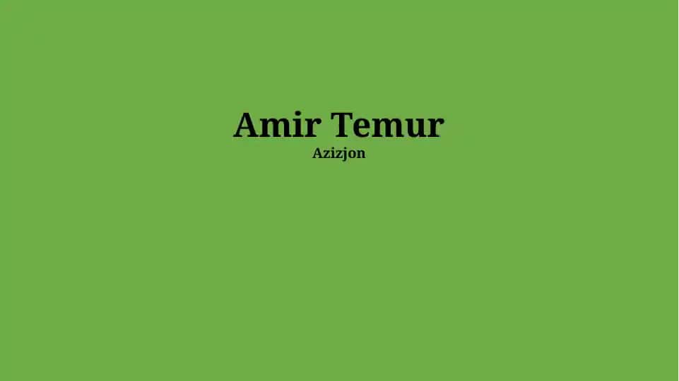 Amir Temur