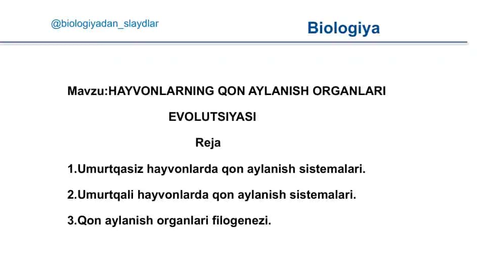 HAYVONLARNING QON AYLANISH ORGANLARI EVOLUTSIYASI