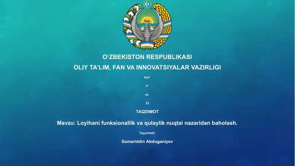 Loyihani funksionallik va qulaylik nuqtai nazaridan baholash
