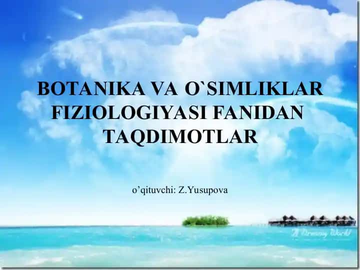 BOTANIKA VA O`SIMLIKLAR FIZIOLOGIYASI TAQDIMOTLAR