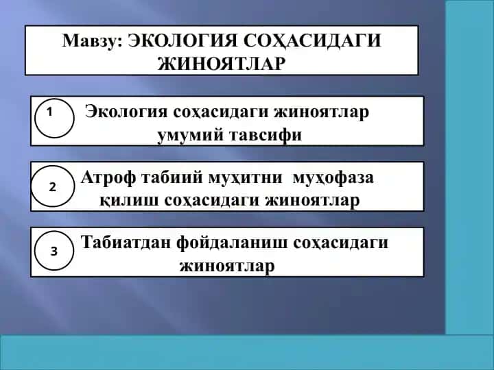 ЭКОЛОГИЯ СОҲАСИДАГИ ЖИНОЯТЛАР