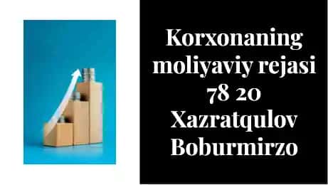 Korxonaning moliyaviy rejasi