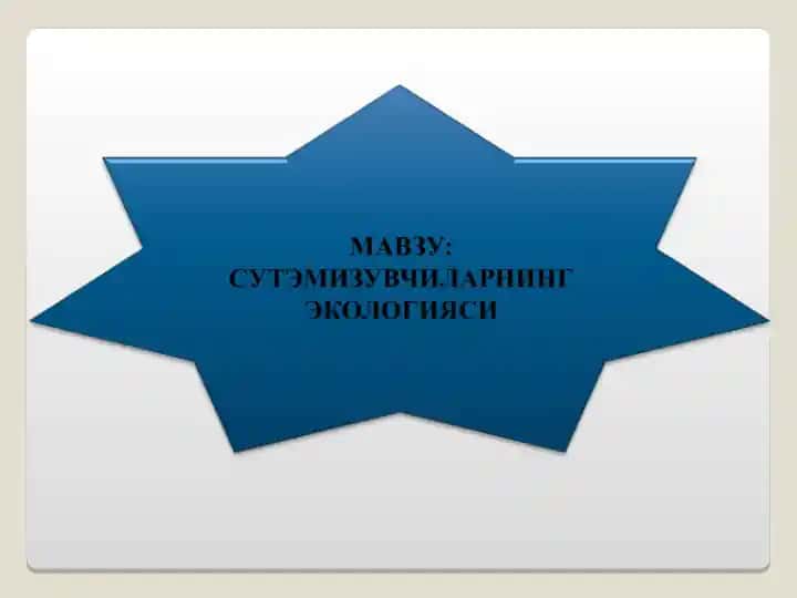 Сутэмизувчилар