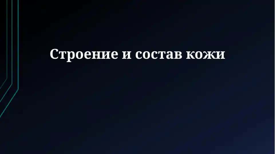 Строение и состав кожи
