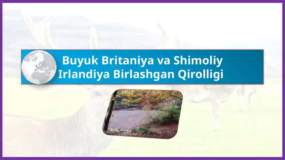 Buyuk Britaniyava Shimoliy Irlandiya Birlashgan Qirolligi