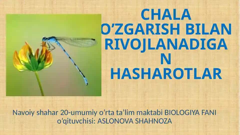 CHALA O’ZGARISH BILAN RIVOJLANADIGAN HASHAROTLAR