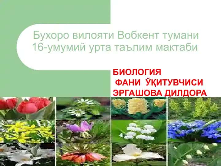 GUL – O’SIMLIKLARNING GENERATIV KO'PAYISH ORGANI