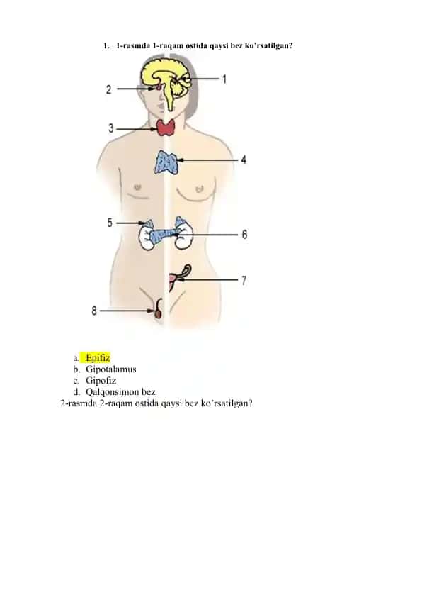 Endokrin sistemani tahlil qilish